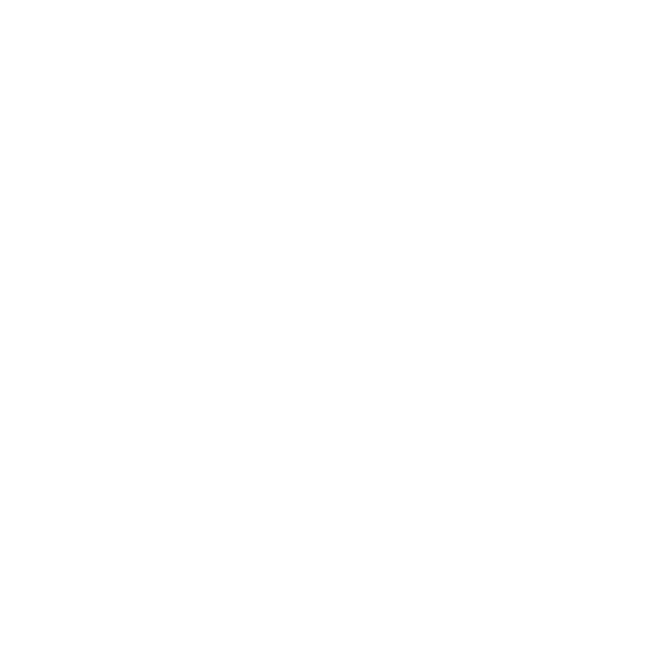 commodore icon inch display